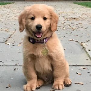 Meet your Posher, Kailey